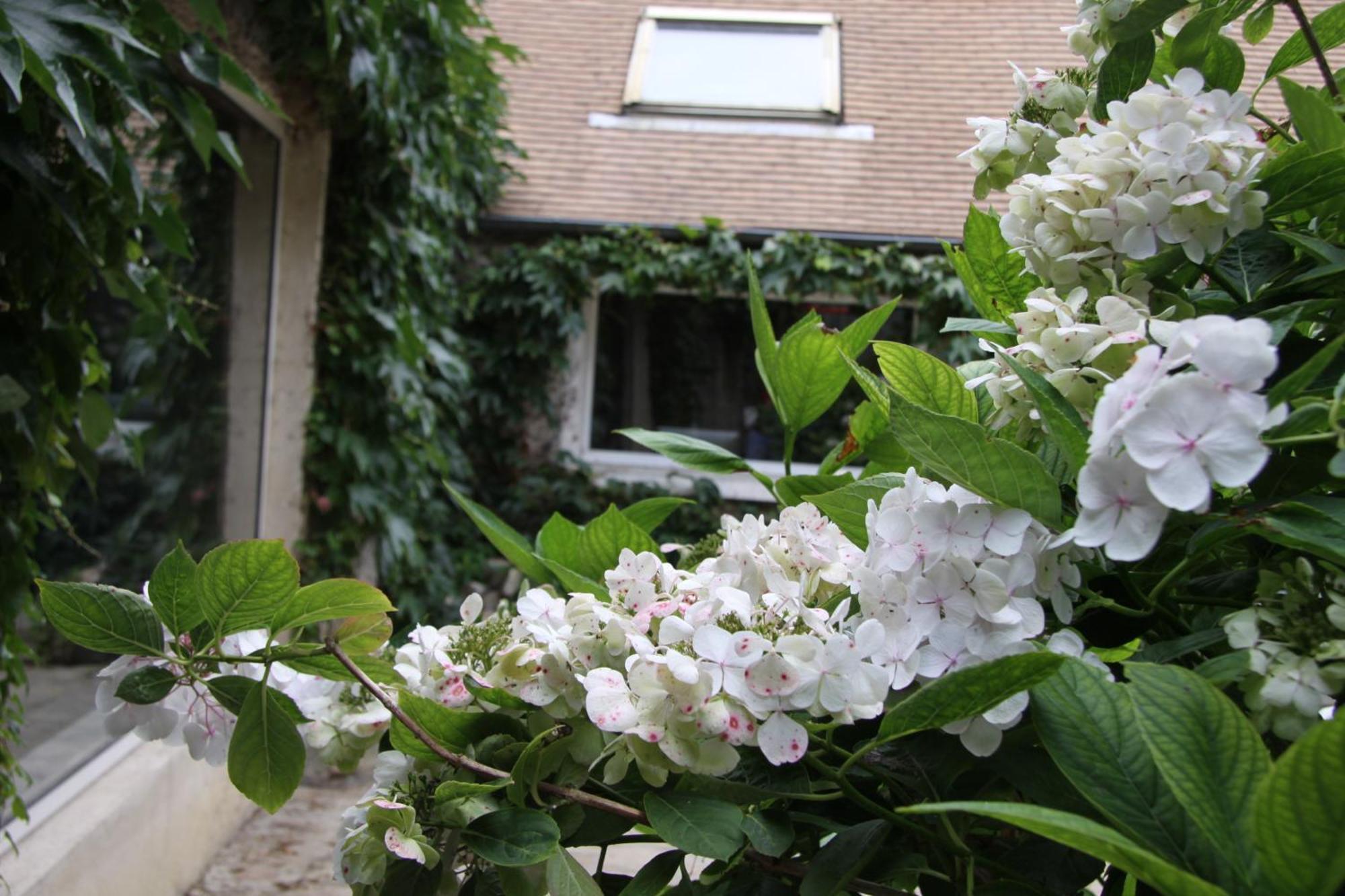 Rochefort-en-Yvelines L'Hibernie B&B 외부 사진